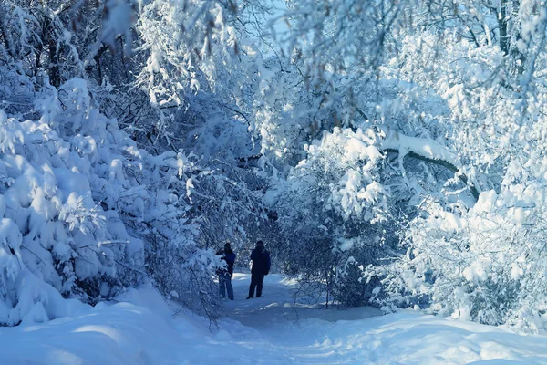 Foto paisaje hermoso parque cubierto de nieve — Foto de Stock