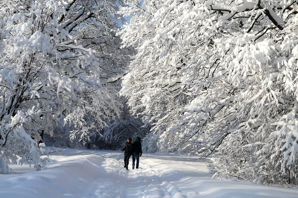 Foto paisaje hermoso parque cubierto de nieve — Foto de Stock