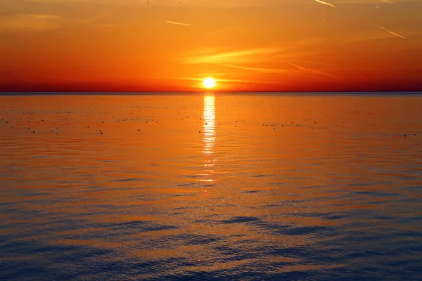 Skvělá Fotka Jasného Západu Slunce Mořském Pobřeží — Stock fotografie