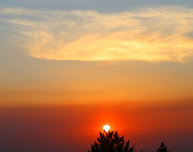 Ormanda güzel bir günbatımının fotoğrafı.