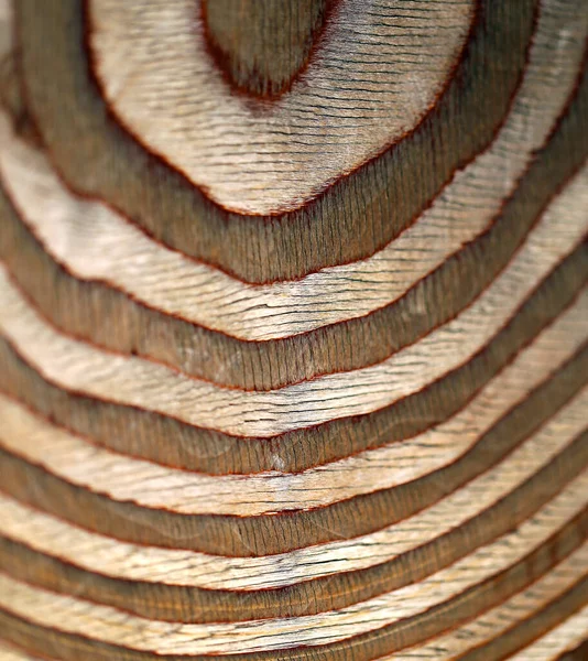 Foto Einer Schönen Holzstruktur Makro — Stockfoto