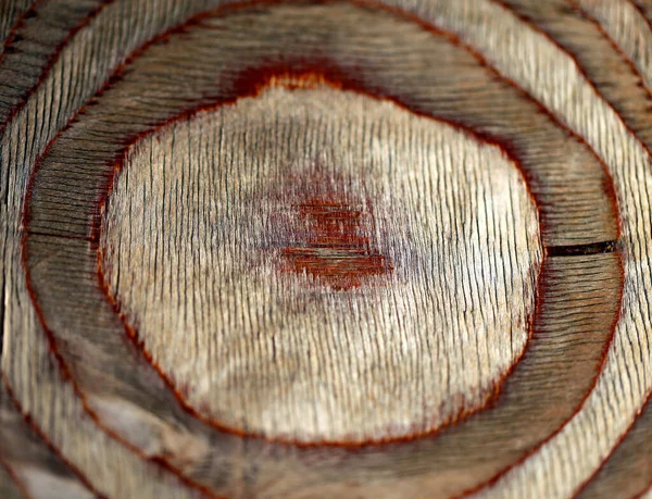 Photo Beautiful Wood Texture Macro — Stock Photo, Image