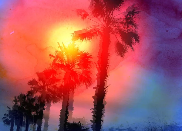 Photo background with beautiful multicolored palm trees — Stock Fotó