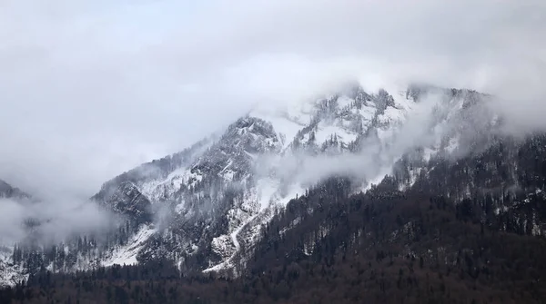 Photo landscape of mountains forests in the clouds in the evening