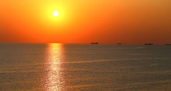 Hermoso Paisaje Fotográfico Puesta Sol Paisaje Marino Con Árboles Ramas — Foto de Stock