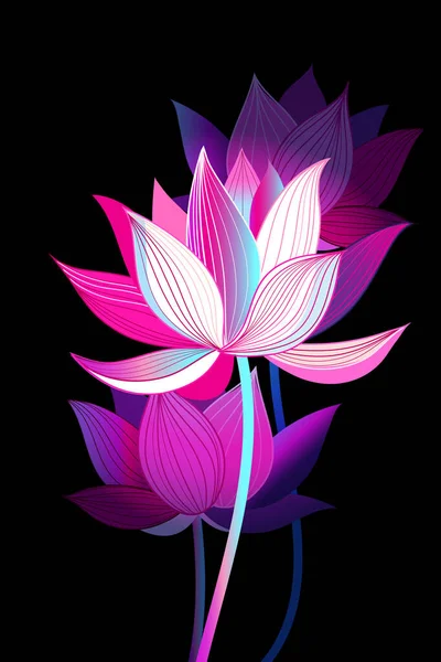 Belle Illustration Naturelle Avec Des Lotus Roses Sur Fond Sombre — Image vectorielle