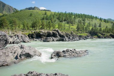 Dağ nehri, su, altai, katun, seyahat
