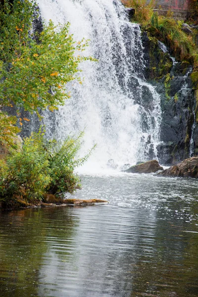 Waterfall Water Forest Nature Travel — 图库照片