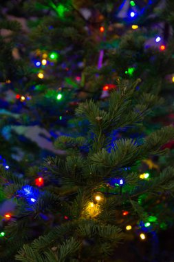 Noel mutlu yeni yıl