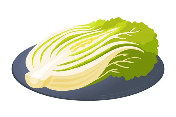 Kimchi de Corée — Image vectorielle