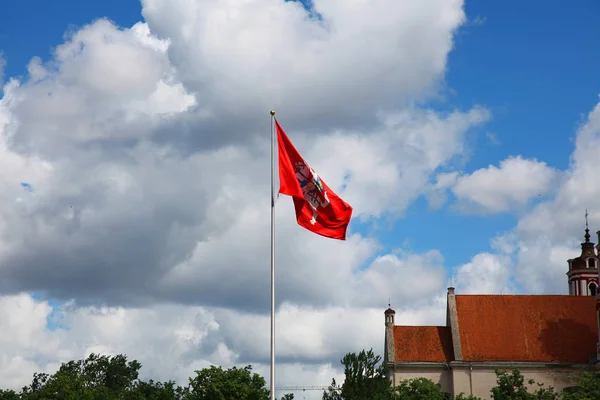 Lukiskes plein met het wapenschild van de vlag van Litouwen en kerk van James en Philip — Stockfoto