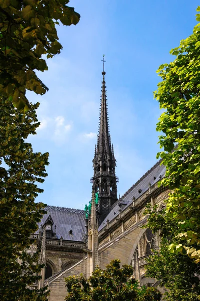 Notre Dame de Paris Katedrali, Fransa
