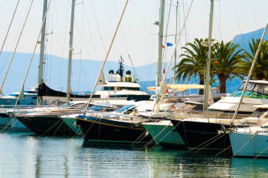 Tivat, Karadağ 05 Temmuz, 2017 Porto Karadağ, güneşli yaz günü dolgu ve palmiye ağaçları ve misafir