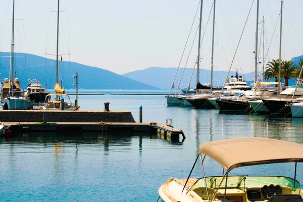 Tivat, Montenegro 05 juli 2017 vallen och palmer och yachter i Porto Montenegro, en solig sommardag — Stockfoto