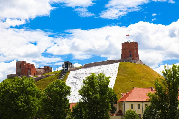 Vilnius, Torre de Gediminas. Verão — Fotografia de Stock