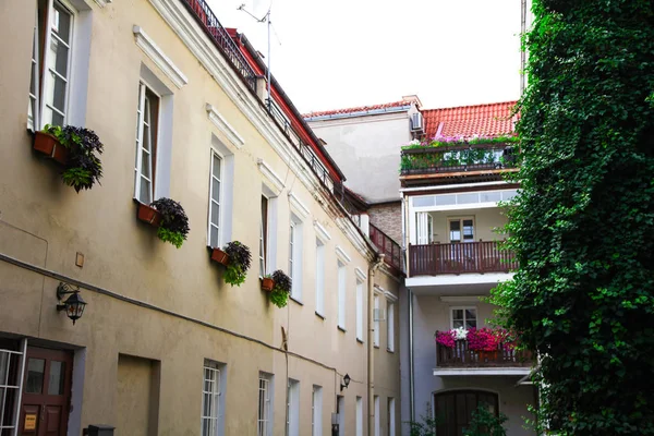 Calle Vilnius en el casco antiguo en el verano — Foto de Stock