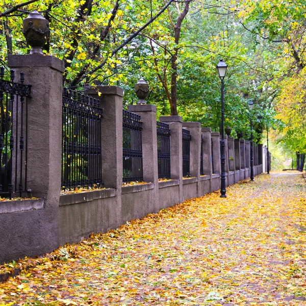 Mariinsky Park 'ta sonbahar, Kyiv, Ukrayna