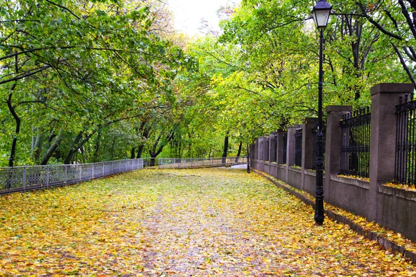 Mariinsky Park Güz, Kiev, Ukrayna