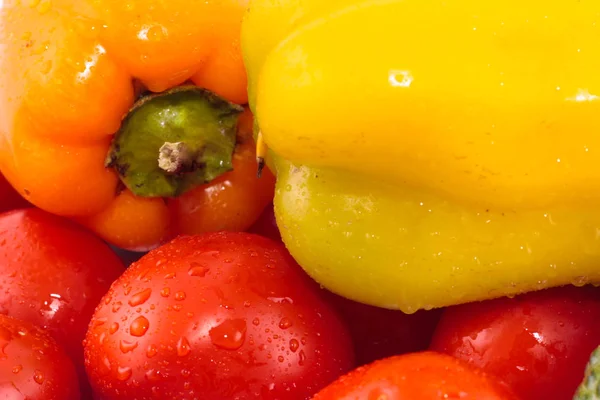 Colored peppers, paprika background — Stock Photo, Image