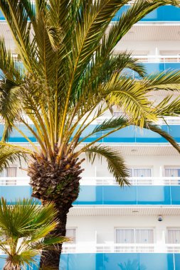Costa Brava İspanya ilk satırda palmiye ağaçlarının ile güzel oteller