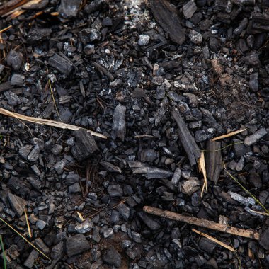 Ateş ve barbekü sonrası kömür ve küller.