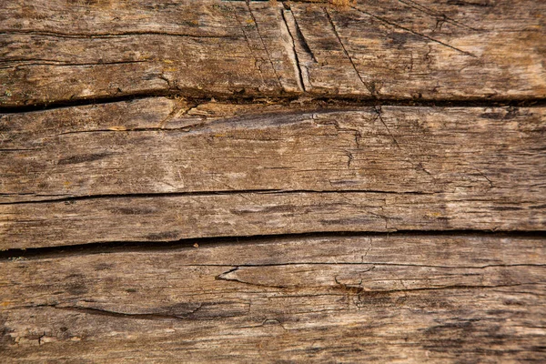 Texture Natural Wood Image Background — Stock Photo, Image