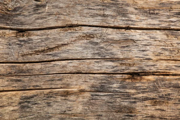 Textur Der Natürlichen Holzscheibe Bild Für Hintergrund — Stockfoto