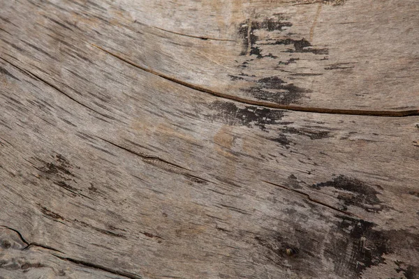 Texture Natural Wood Slice Image Background — Stock Photo, Image
