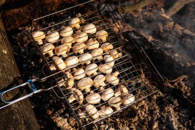 Ormanda kamp yapan ızgara şampiyon mantarları.