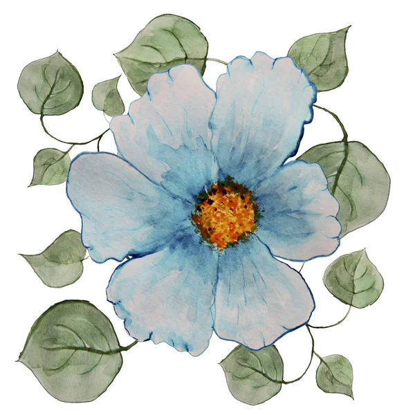 Blue flower with leaves on a white background, watercolor — Stock Photo, Image