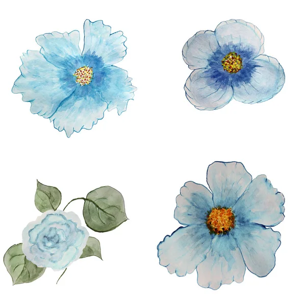 A collection of blue flowers with leaves on a white background, — Stock Photo, Image