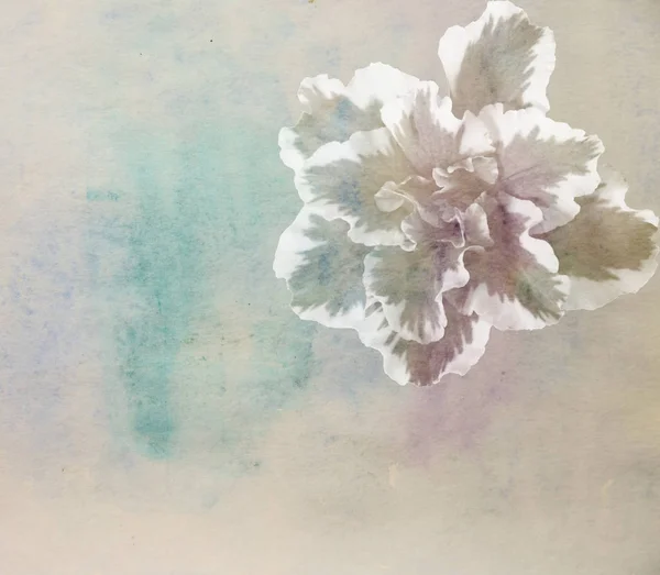 Γραφική ακουαρέλα φόντο με λουλούδια αζαλέα γίνεται με χρώμα — Φωτογραφία Αρχείου