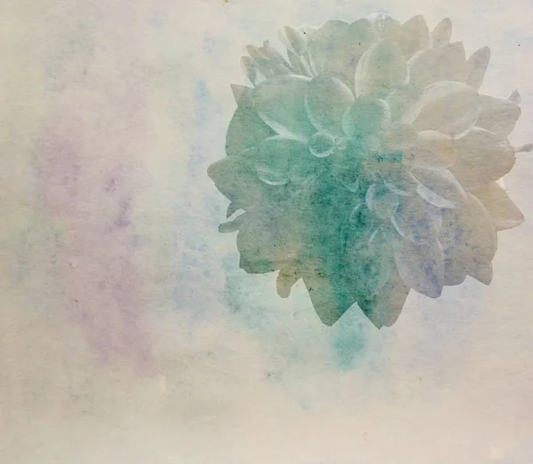 Живописный акварельный цветочный фон с пионом, выполненный в цвете — стоковое фото