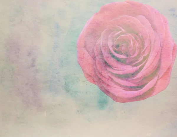 Scenic watercolor floral with roses, made with color filters Stock Picture
