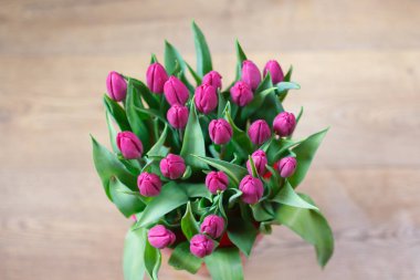 bahar çiçekleri laleler