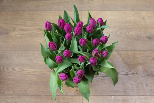 Spring flowers tulips — Stock Photo, Image