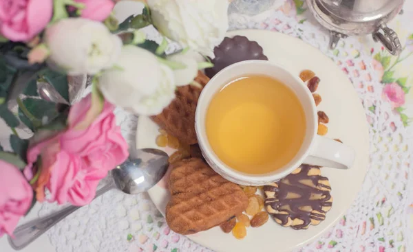 Tasse blanche de thé vert clair avec des gâteaux raisin, biscuits au chocolat dans shabby chic élégant intérieur traditionnel sur une serviette en dentelle avec des fleurs roses . — Photo