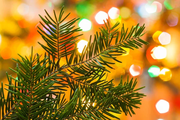 Closeup of a Christmas tree surrounded by lights — Stock Photo, Image