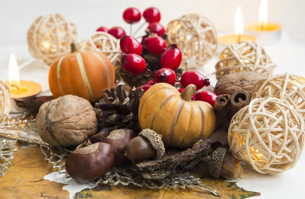 Calabazas de otoño, nueces, bellotas, castañas y decoraciones — Foto de Stock