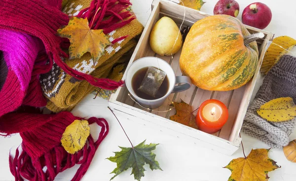 Lenço acolhedor de lã com decoração de outono, abóbora, folhas, chá — Fotografia de Stock