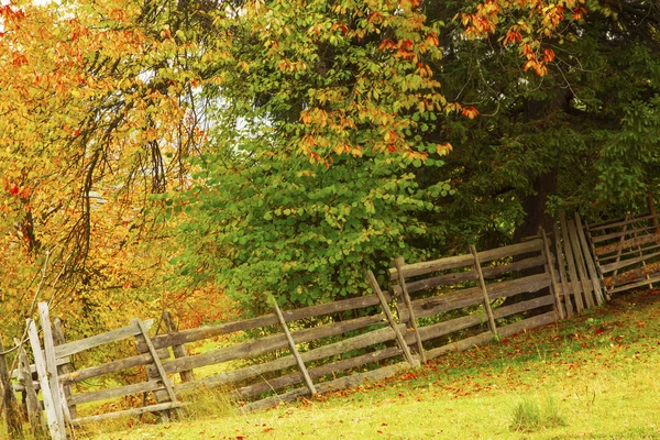 充满活力的乡村秋天风景 — 图库照片