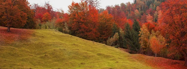 Outono bela paisagem com vista panorâmica colorida de florestas de prados e árvores — Fotografia de Stock
