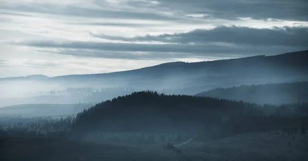 Drammatica foresta di montagna nebbiosa all'alba — Foto Stock