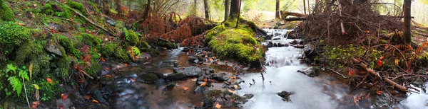 Mountain river into the forest with moss and dried leaves — Stock Photo, Image