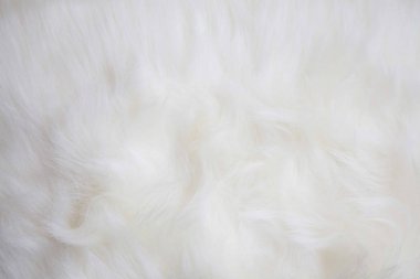 Yapay beyaz kürk doku