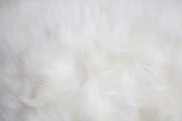 Artificial white fur texture