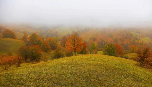 Mañana brumosa en temporada de otoño —  Fotos de Stock