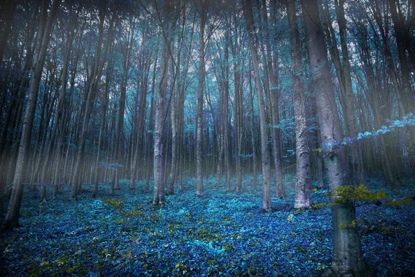 Bosques surrealistas sombríos con luces y vegetación azul, feria mágica —  Fotos de Stock