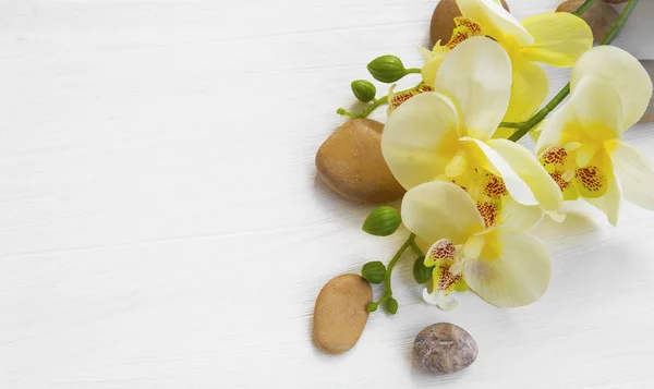 Ambientación spa orquídea con piedras de flores y masajes — Foto de Stock