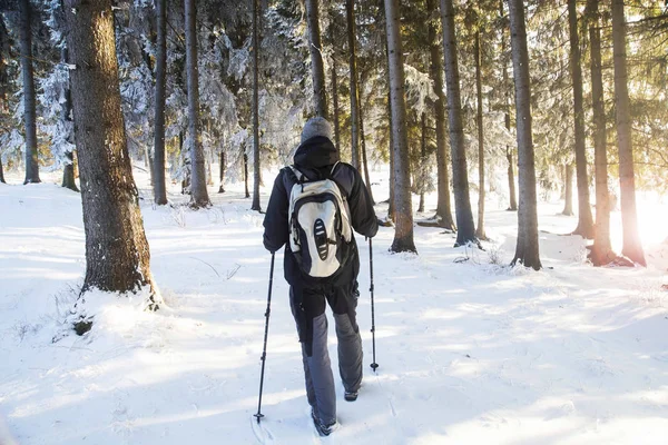 Trekker masculino en el bosque nevado de invierno — Foto de Stock